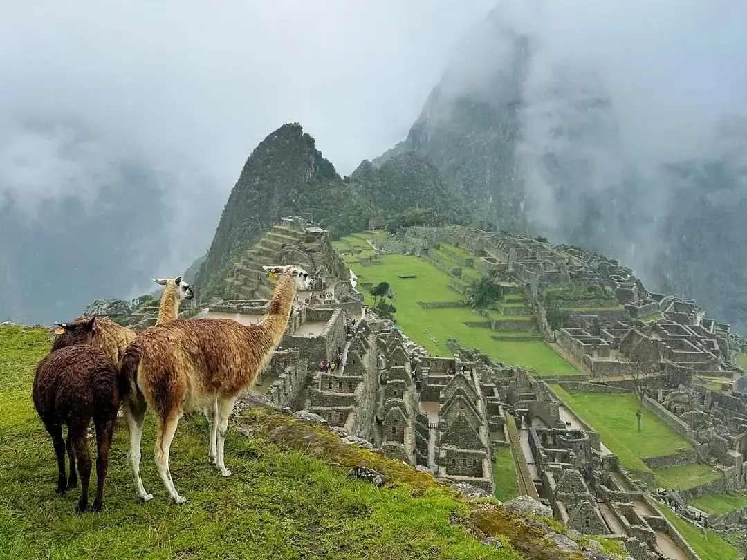 Machupicchu