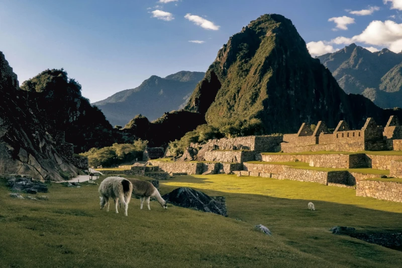 machu picchu