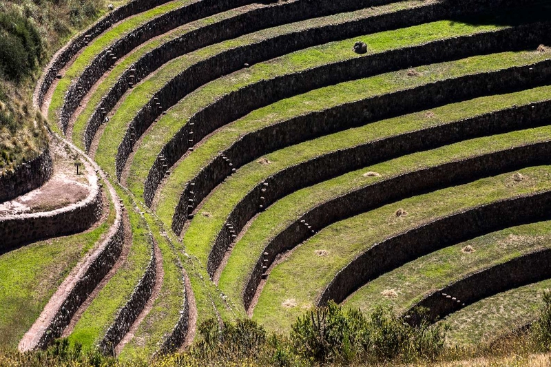 Moray Cusco