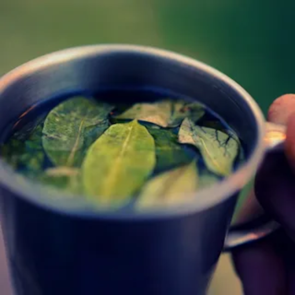 mate de coca